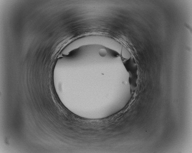 X0000096460001200802211137