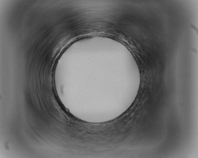 X0000096460002200802211137