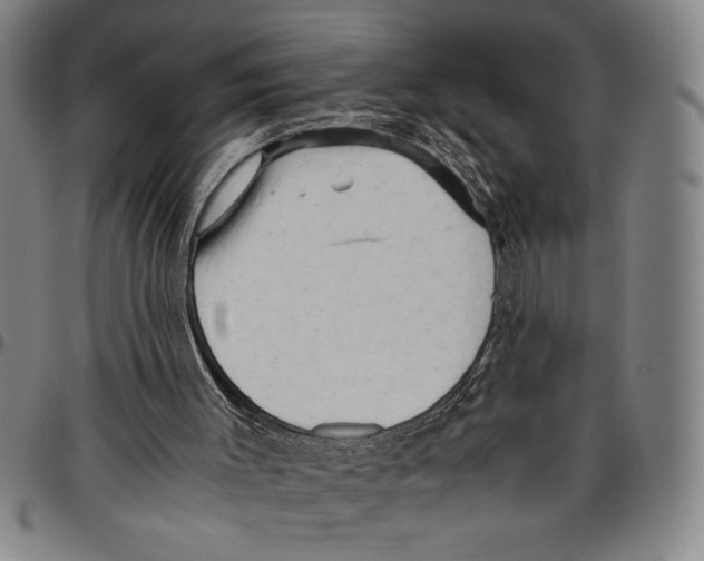 X0000096460003200802211137