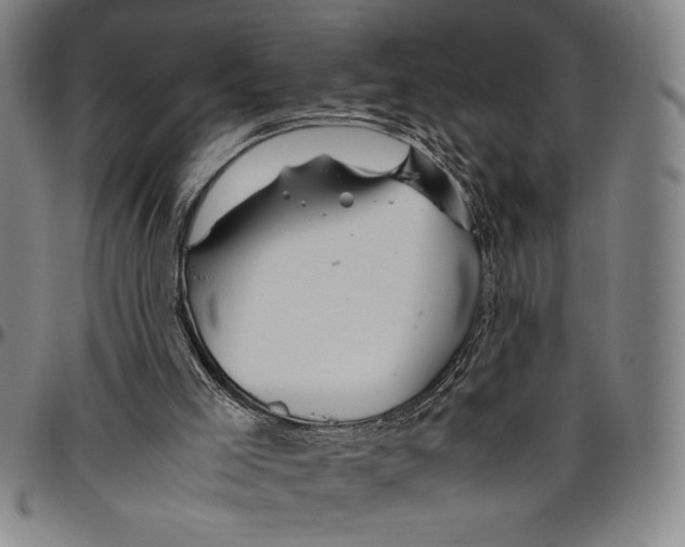 X0000096460005200802211137
