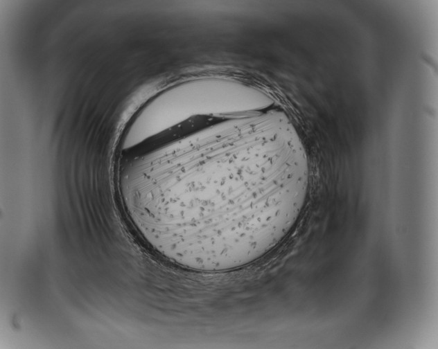 X0000096460006200802211137