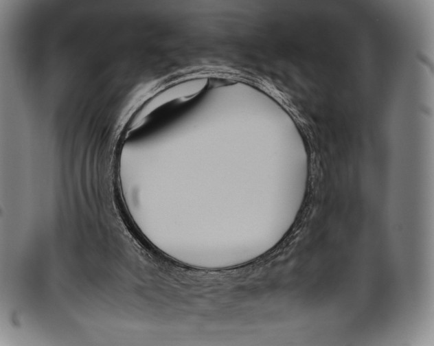 X0000096460007200802211137