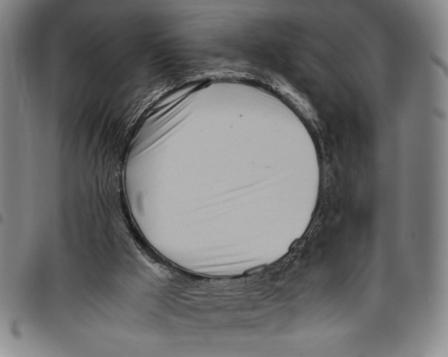 X0000096460009200802211137