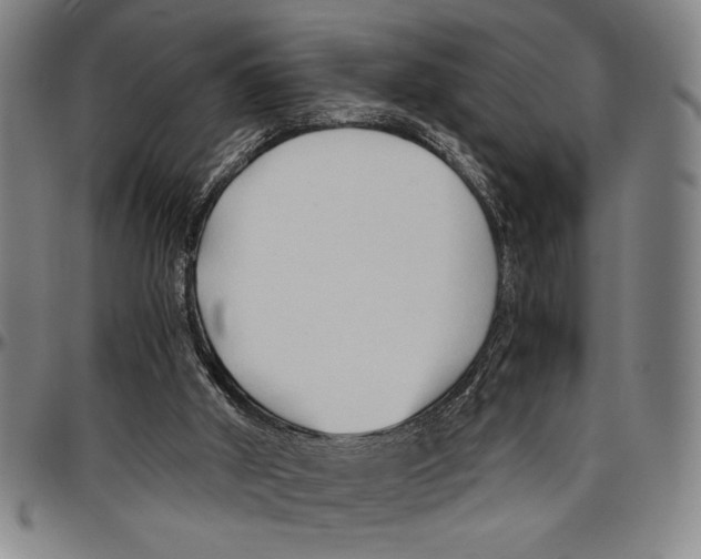 X0000096460010200802211137