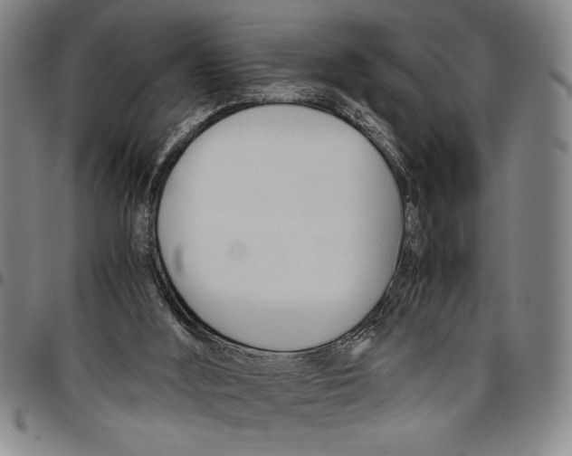 X0000096460012200802211137