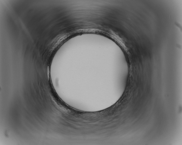 X0000096460013200802211137