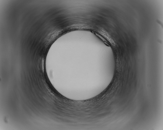 X0000096460014200802211137
