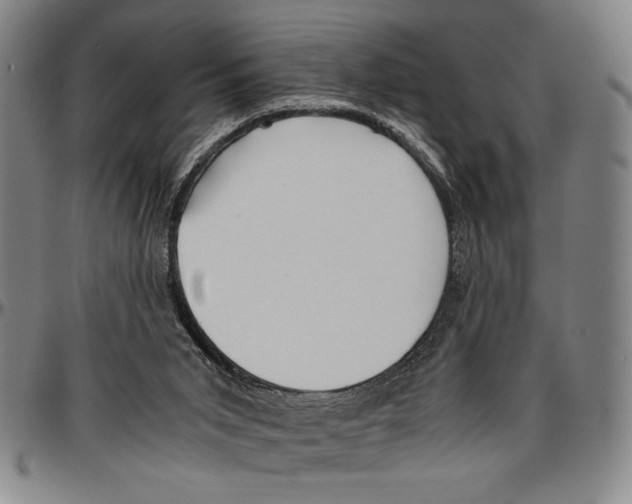 X0000096460015200802211137