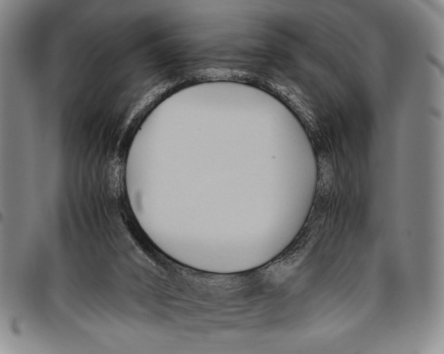 X0000096460016200802211137