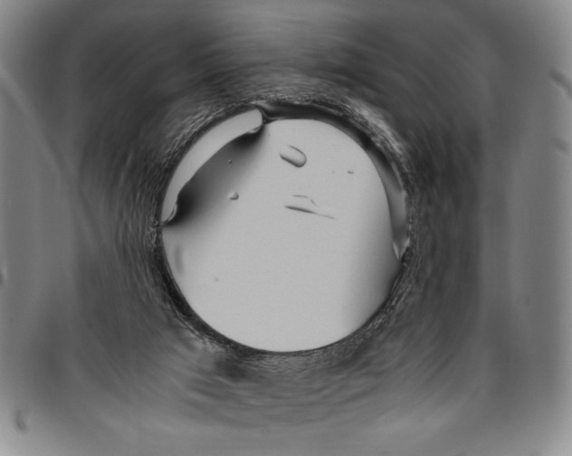 X0000096460017200802211137