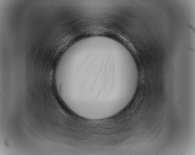 X0000096460018200802211137
