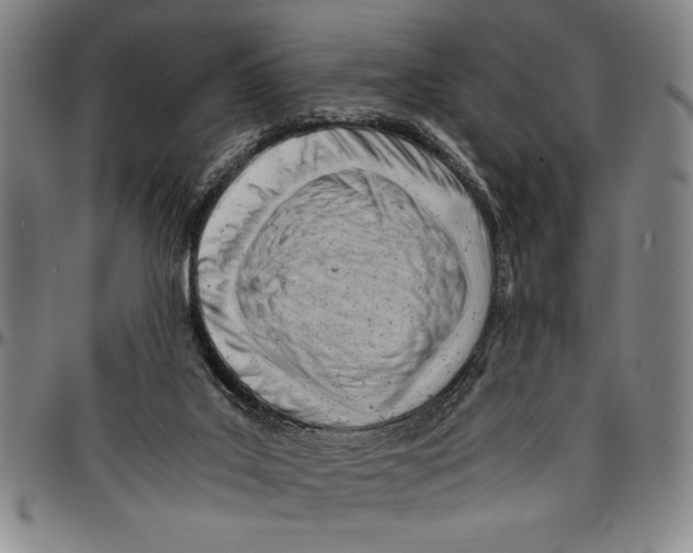 X0000096460019200802211137