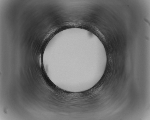 X0000096460020200802211137