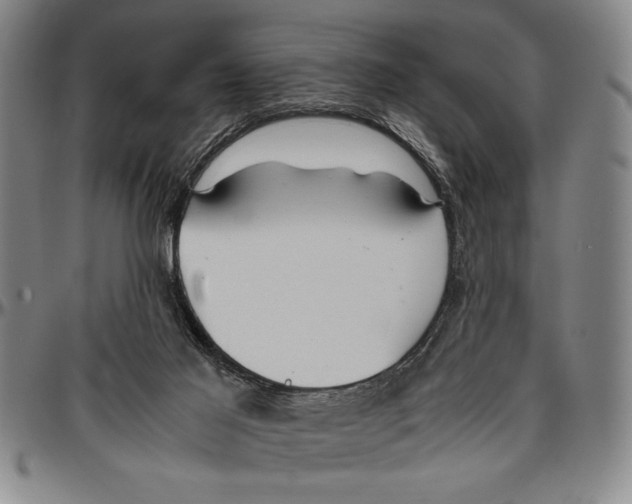 X0000096460021200802211137