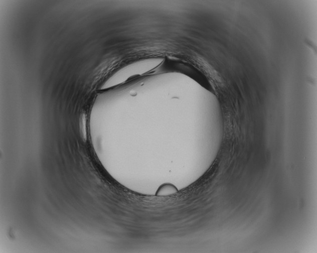 X0000096460022200802211137