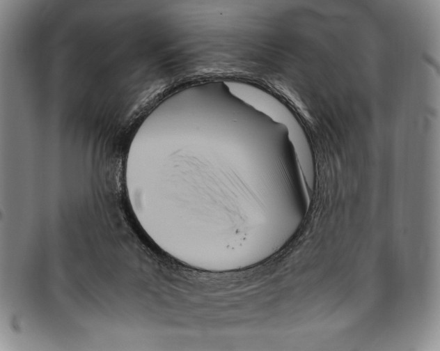 X0000096460023200802211137