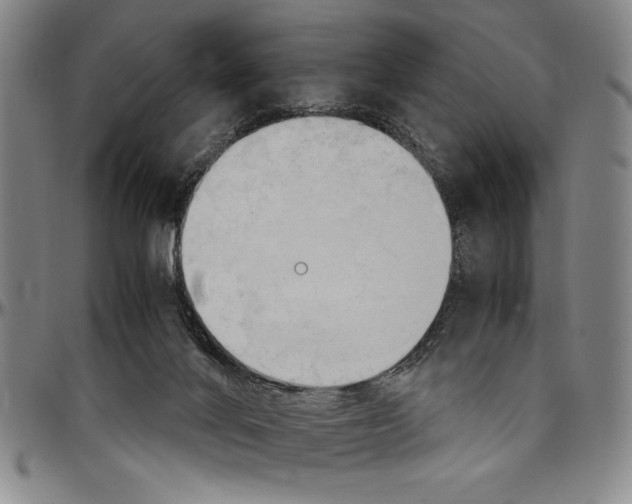 X0000096460024200802211137