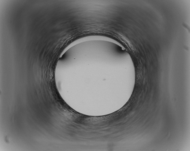 X0000096460025200802211137
