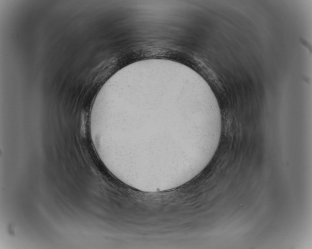 X0000096460026200802211137