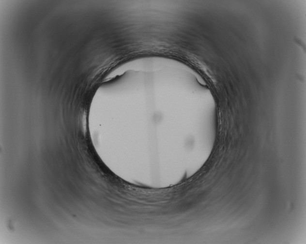 X0000096460027200802211137