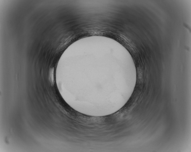 X0000096460028200802211137