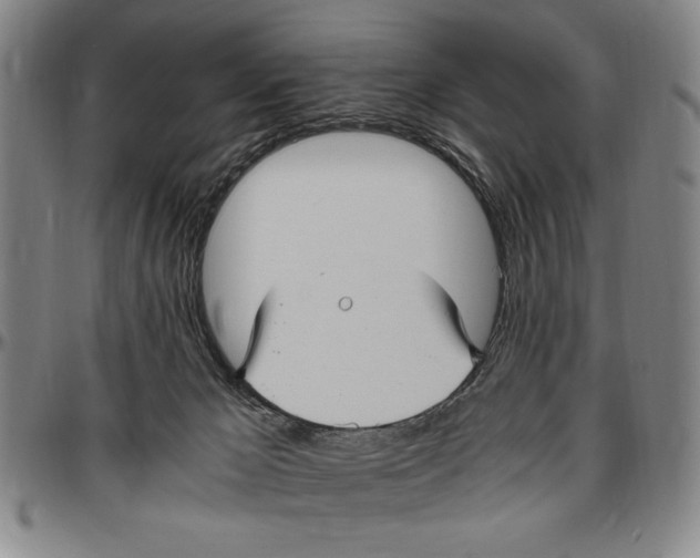 X0000096460029200802211137