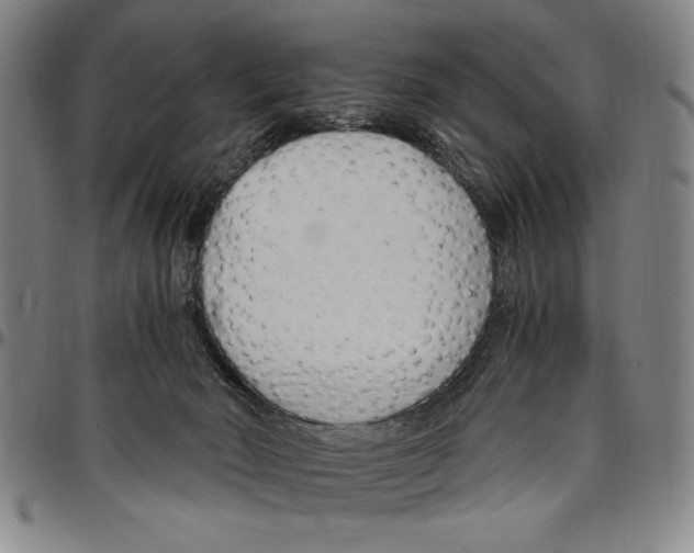 X0000096460030200802211137