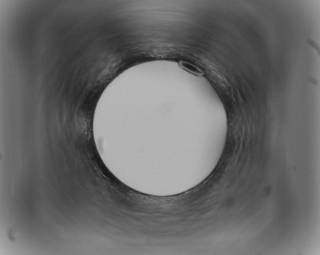 X0000096460031200802211137