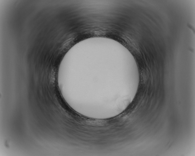 X0000096460032200802211137