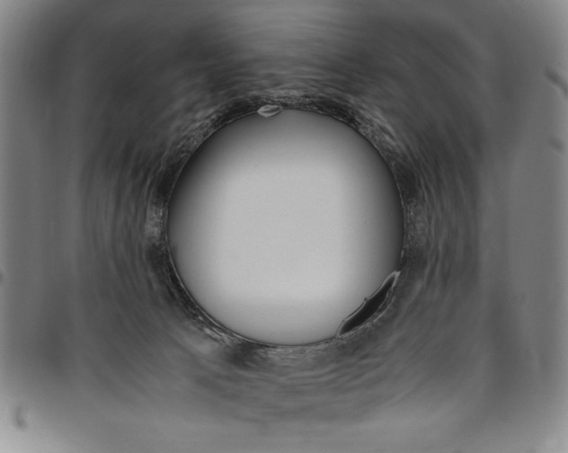 X0000096460033200802211137