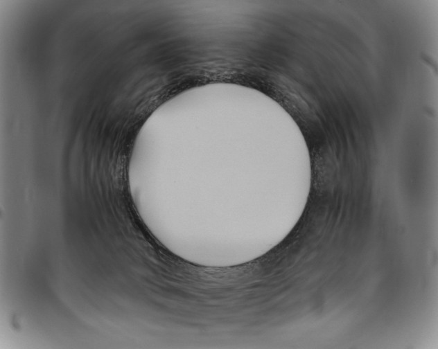 X0000096460034200802211137