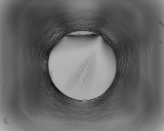 X0000096460035200802211137