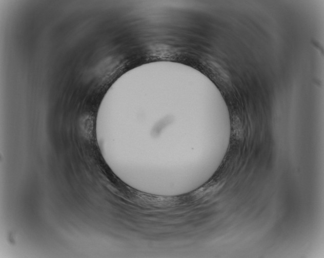 X0000096460036200802211137