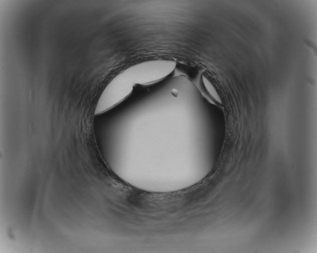 X0000096460037200802211137