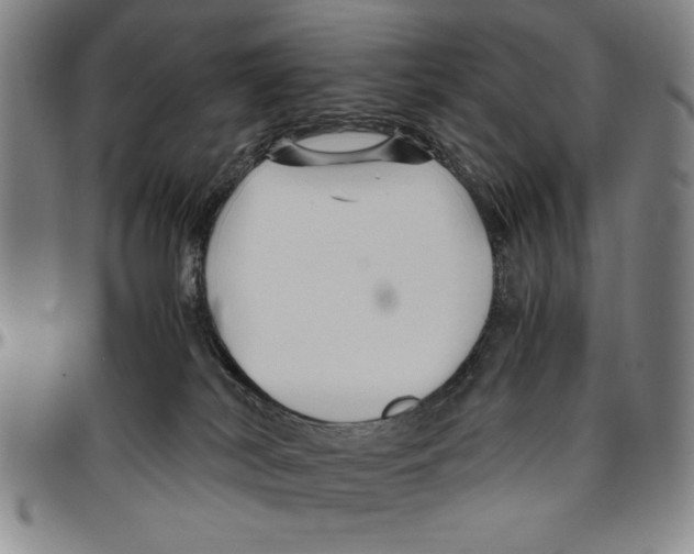X0000096460038200802211137