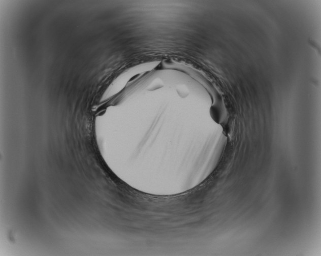 X0000096460039200802211137