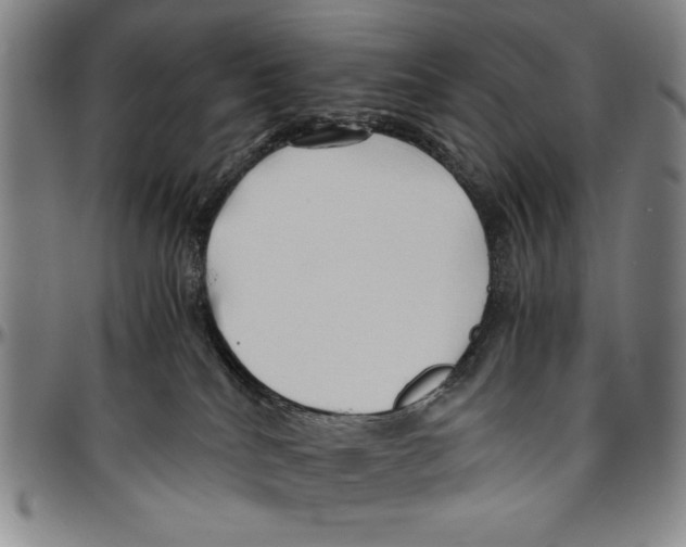 X0000096460040200802211136