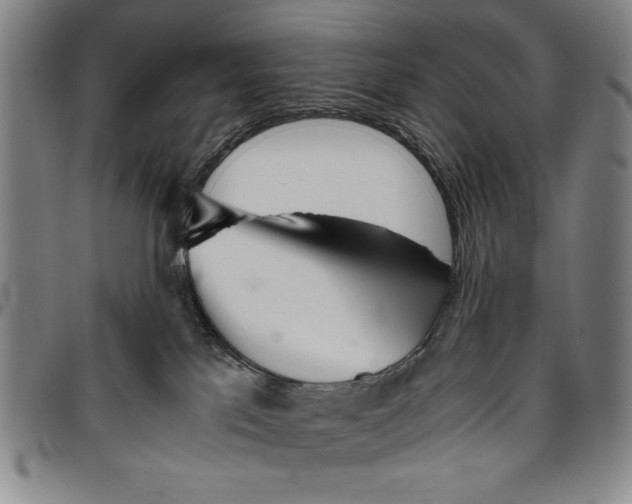 X0000096460041200802211136