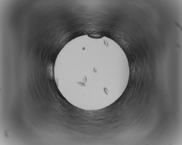 X0000096460042200802211136