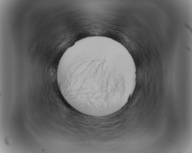 X0000096460043200802211136
