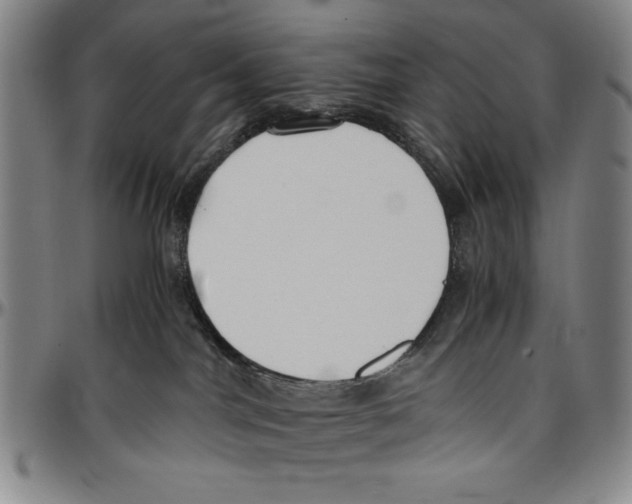 X0000096460044200802211136