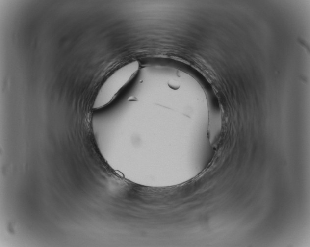 X0000096460045200802211136
