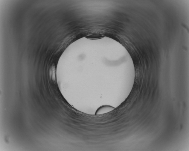 X0000096460046200802211136