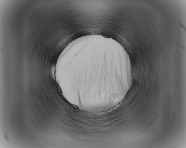 X0000096460047200802211136