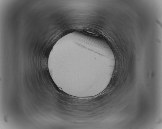 X0000096460048200802211136