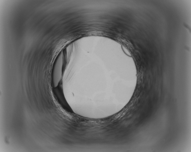 X0000096460049200802211136