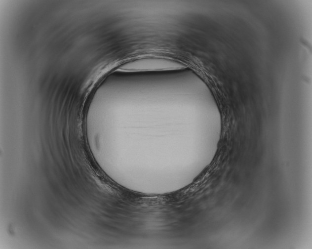 X0000096460050200802211136