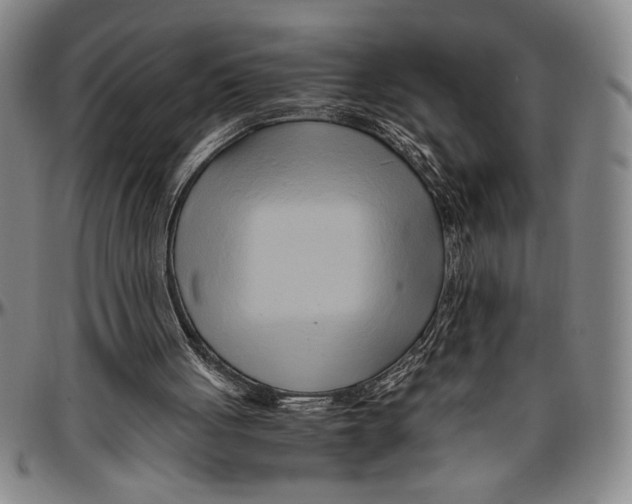 X0000096460051200802211136