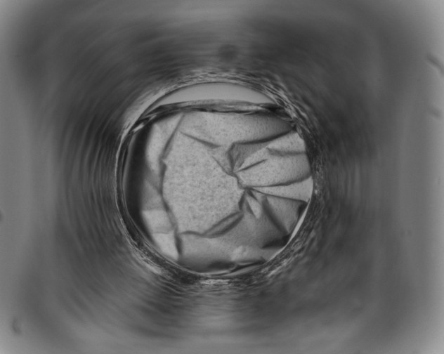 X0000096460052200802211136