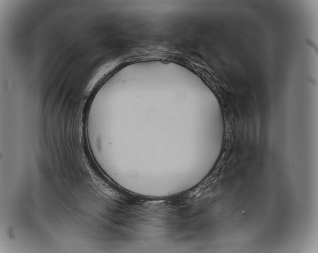 X0000096460054200802211136